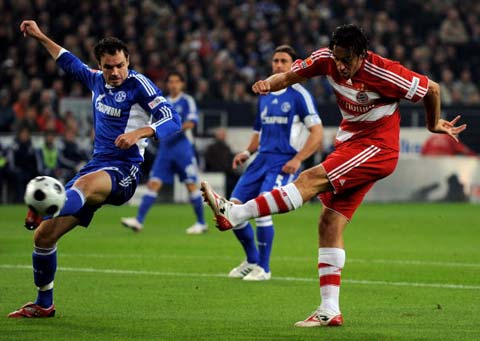 毛球行业需 毛球行业需